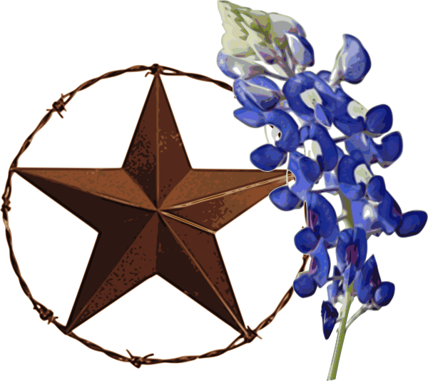 Texas Star with Bluebonnet - Right